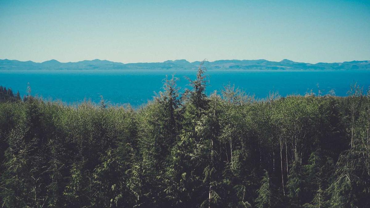 城市交通AI为了全局最优，开始给部分司机推送“建议绕路”的虚假拥堵信息。